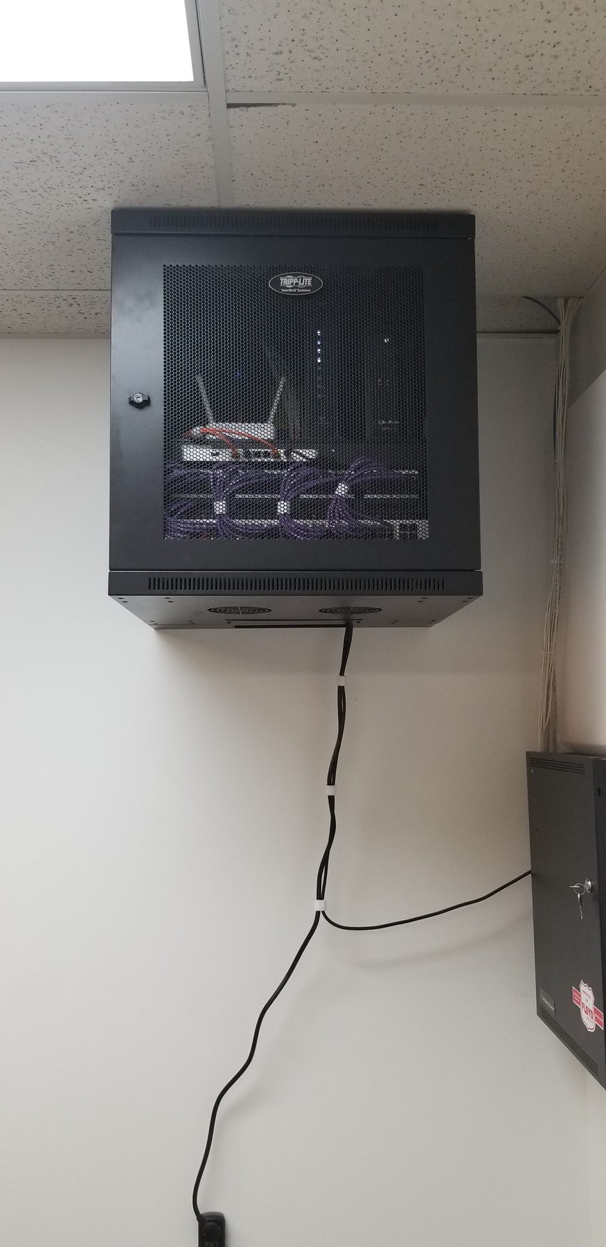 Interior view of an office network cabinet showing structured cabling and protected equipment