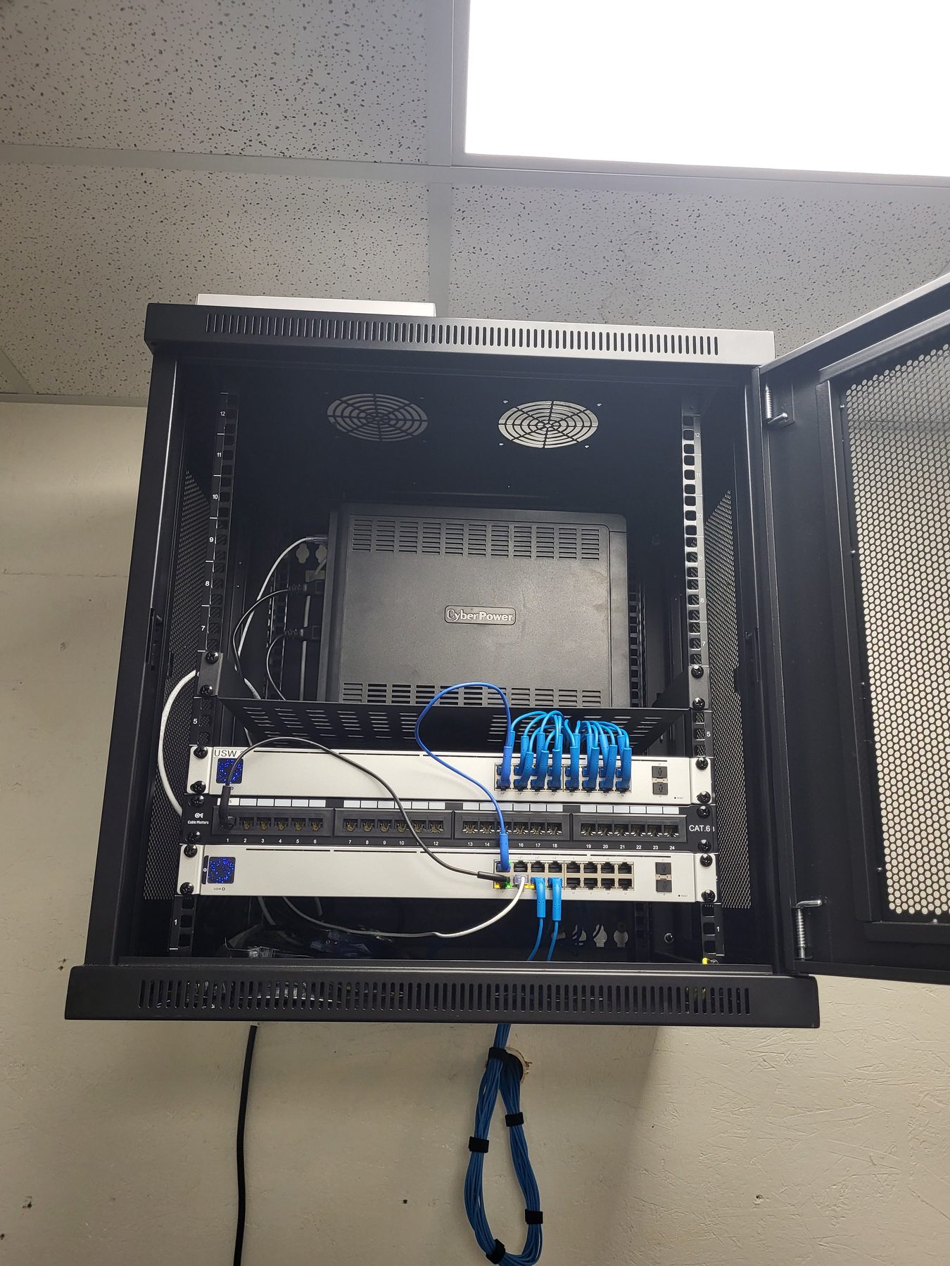 Open wall-mount network cabinet with patch panels, a network switch, and blue patch cords installed inside